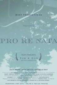 Pro Re Nata movie poster