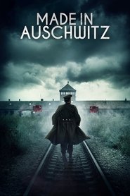 Poster do filme As Mulheres de Auschwitz