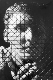 Poster do filme Fanatic