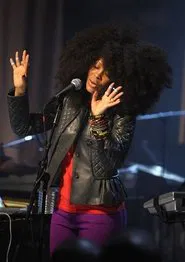 Erykah Badu Live at VH1 Soul Stage 2008 movie poster