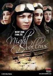 Night Swallows tv show poster