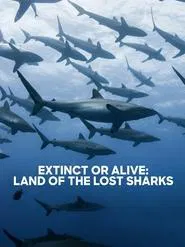 Poster do filme Extinct or Alive: Land of the Lost Sharks