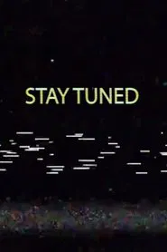 Poster do filme Mr TV Man