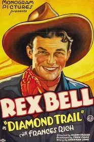 Poster do filme Diamond Trail