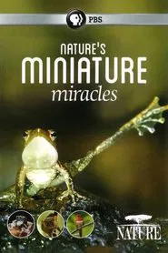 Nature's Miniature Miracles movie poster