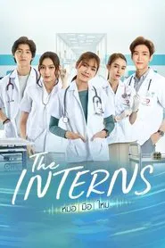 The Interns tv show poster