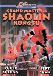 The Divine Martial Arts Of Dharma movie poster