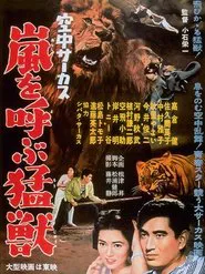 Midair Circus movie poster