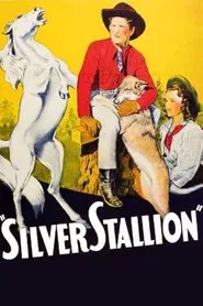 Poster do filme Silver Stallion