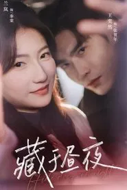 藏于昼夜 tv show poster