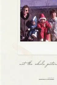 Not The Whole Picture movie poster