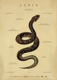 Aspis movie poster