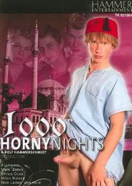 1000 Horny Nights movie poster