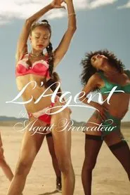 L'Agent movie poster
