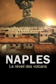 Poster do filme The Next Pompeii?