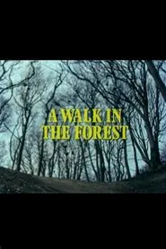 A Walk in the Forest movie poster
