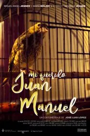 Poster do filme Mi querido Juan Manuel