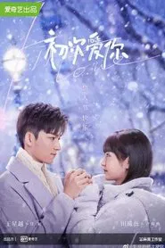初次愛你 tv show poster