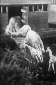 Poster do filme Tale of the Ark