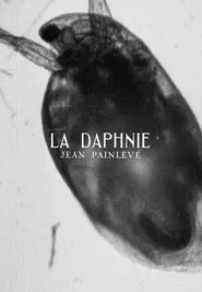 Daphnia movie poster