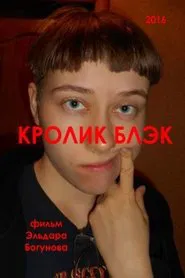 Кролик Блэк movie poster