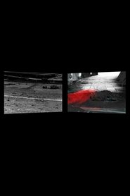 Poster do filme Dissonance and Disturbance