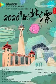 2020年的北漂 tv show poster