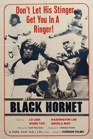 Poster do filme Black Hornet