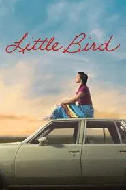 Little Bird tv show poster