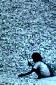 Chhatrabhang movie poster