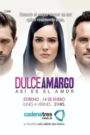 Dulce Amargo tv show poster
