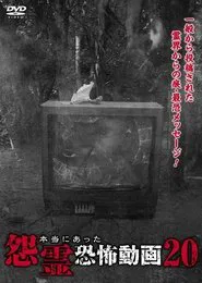 Real Vengeful Ghost Horror Video 20 movie poster