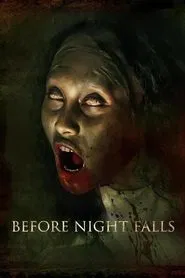 Before Night Falls movie poster