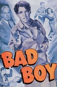 Bad Boy movie poster
