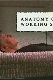 Anatomy of a Working Stiff movie poster
