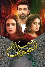 mein hari piya tv show poster