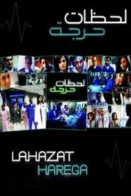 Critical Moments tv show poster