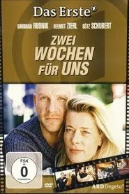 Zwei Wochen für uns movie poster
