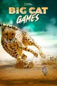 Poster do filme Jogos Felinos