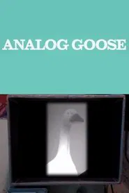 Analog Goose movie poster