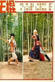 Shaolin Invincible Sticks movie poster