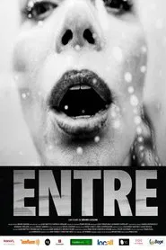Entre movie poster