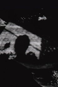 Poster do filme Life/Expectancy