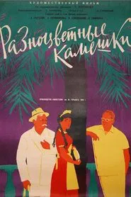 Разноцветные камешки movie poster