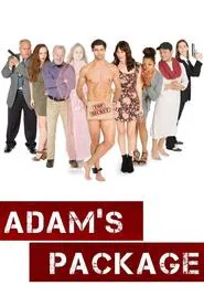 Poster do filme Adam's Package