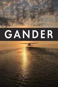 Gander International: The Airport in the Middle of Nowhere movie poster