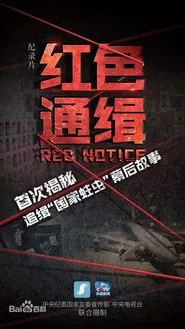 Red Notice tv show poster
