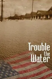 Poster do filme Trouble the Water