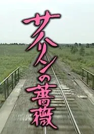 サハリンの薔薇 tv show poster