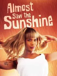 Almost Saw the Sunshine movie poster